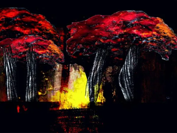 EL BOSQUE ARDE