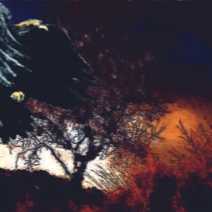 Fenix