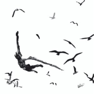 birds