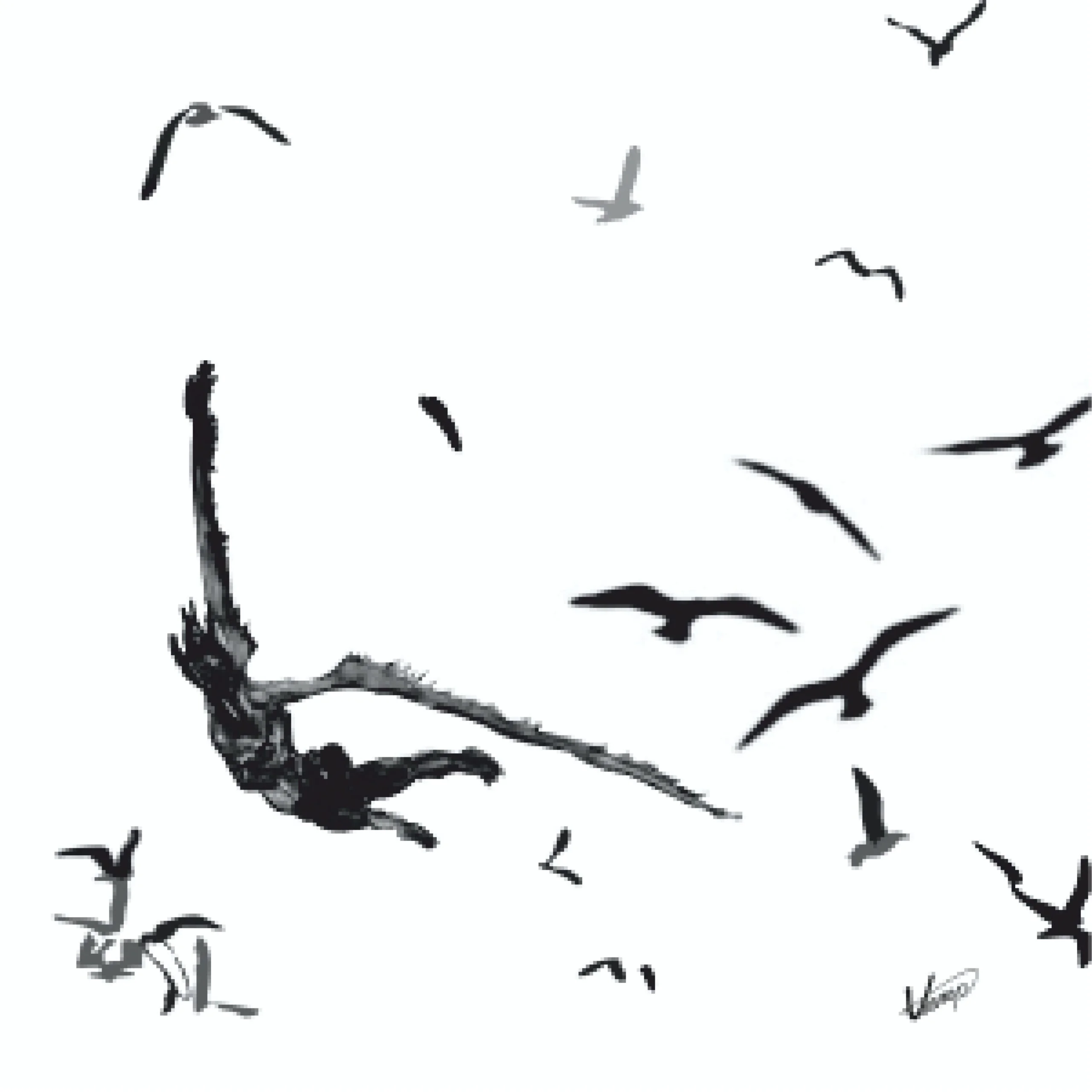 birds